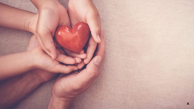 La Donación de Sangre